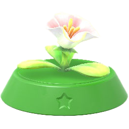 ポップフラワー画像