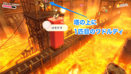 1匹目のワドルディの場所画像