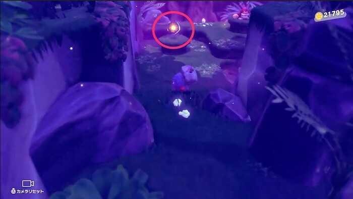 ステージ開始直後の道の途中