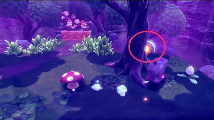 右手に生えている木の裏