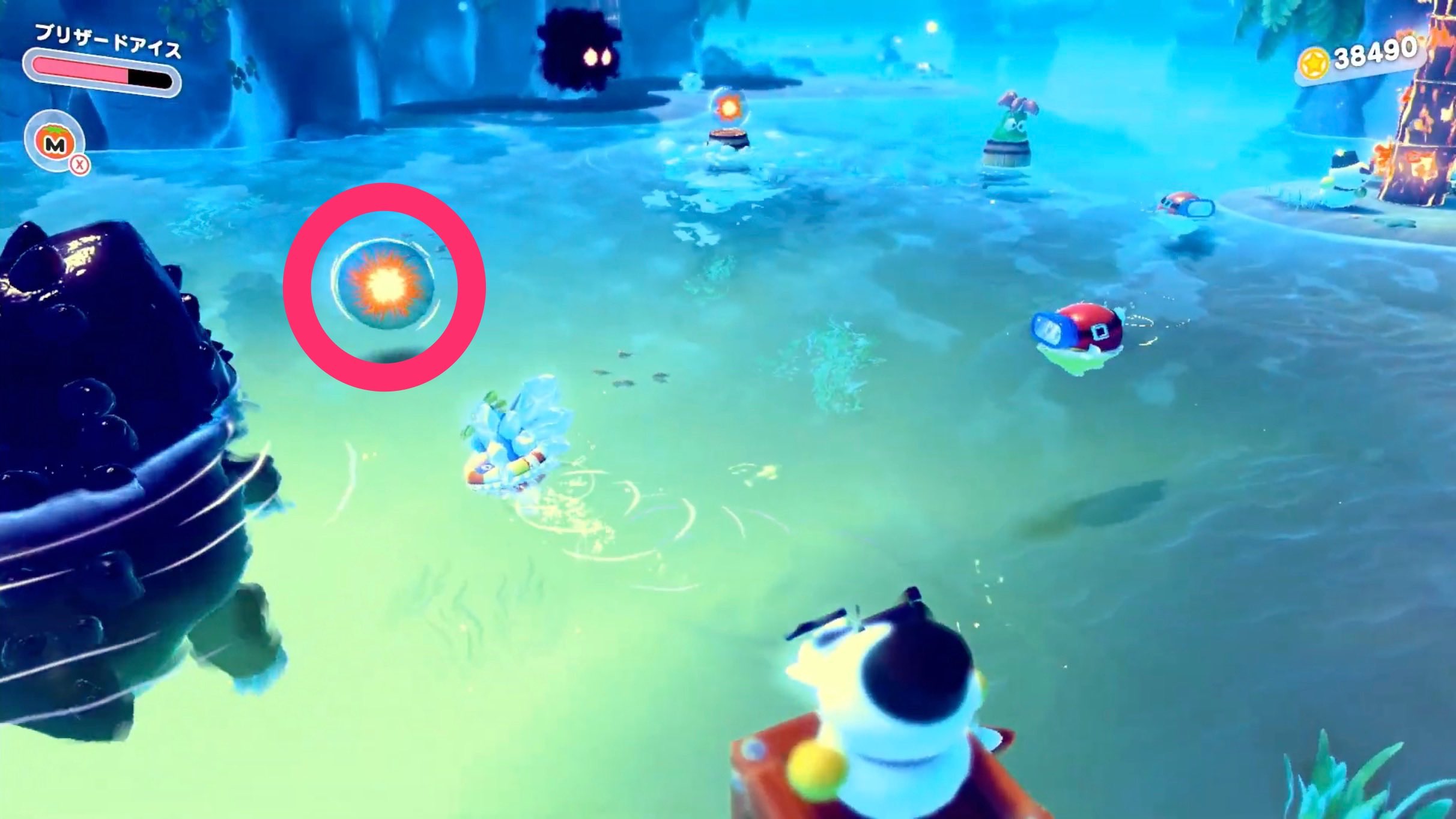 海上のワニの近く