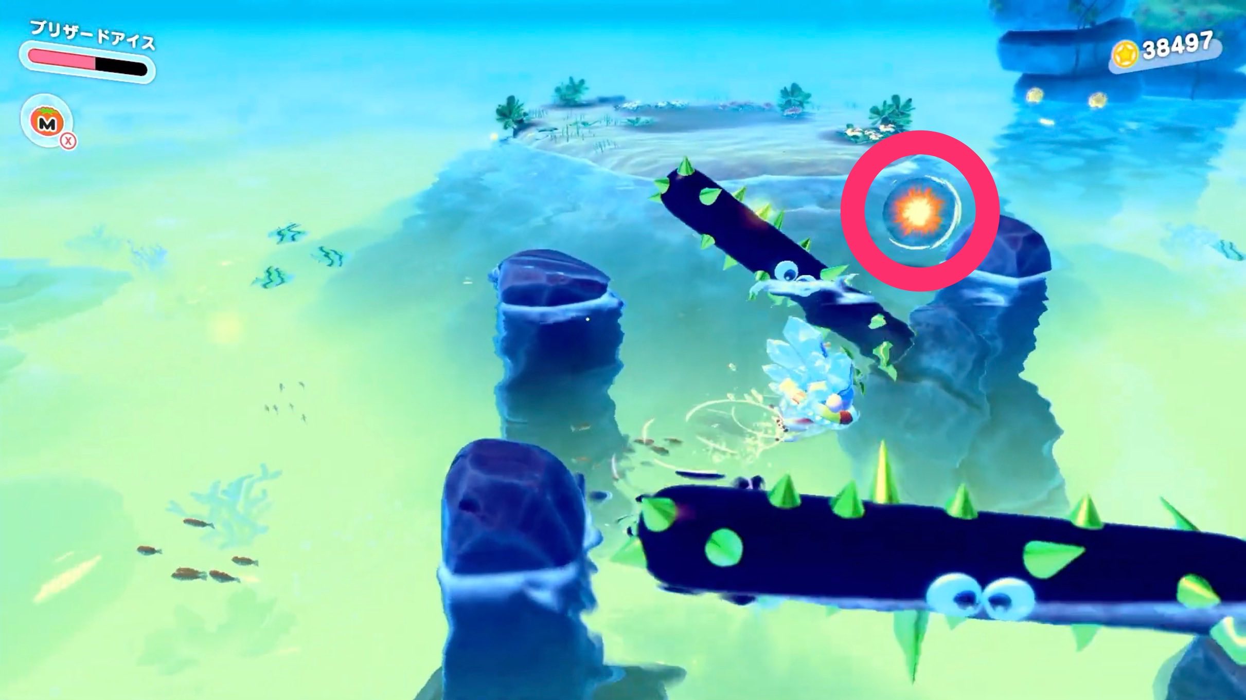 回転する3匹目のゴルドー付近