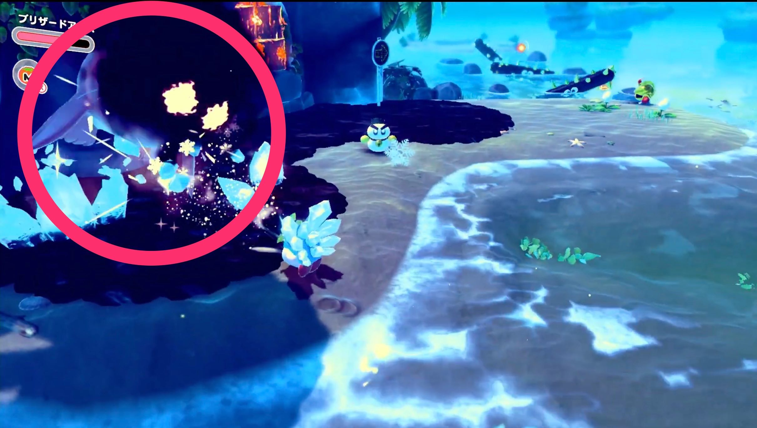 黒いアザラシを倒す