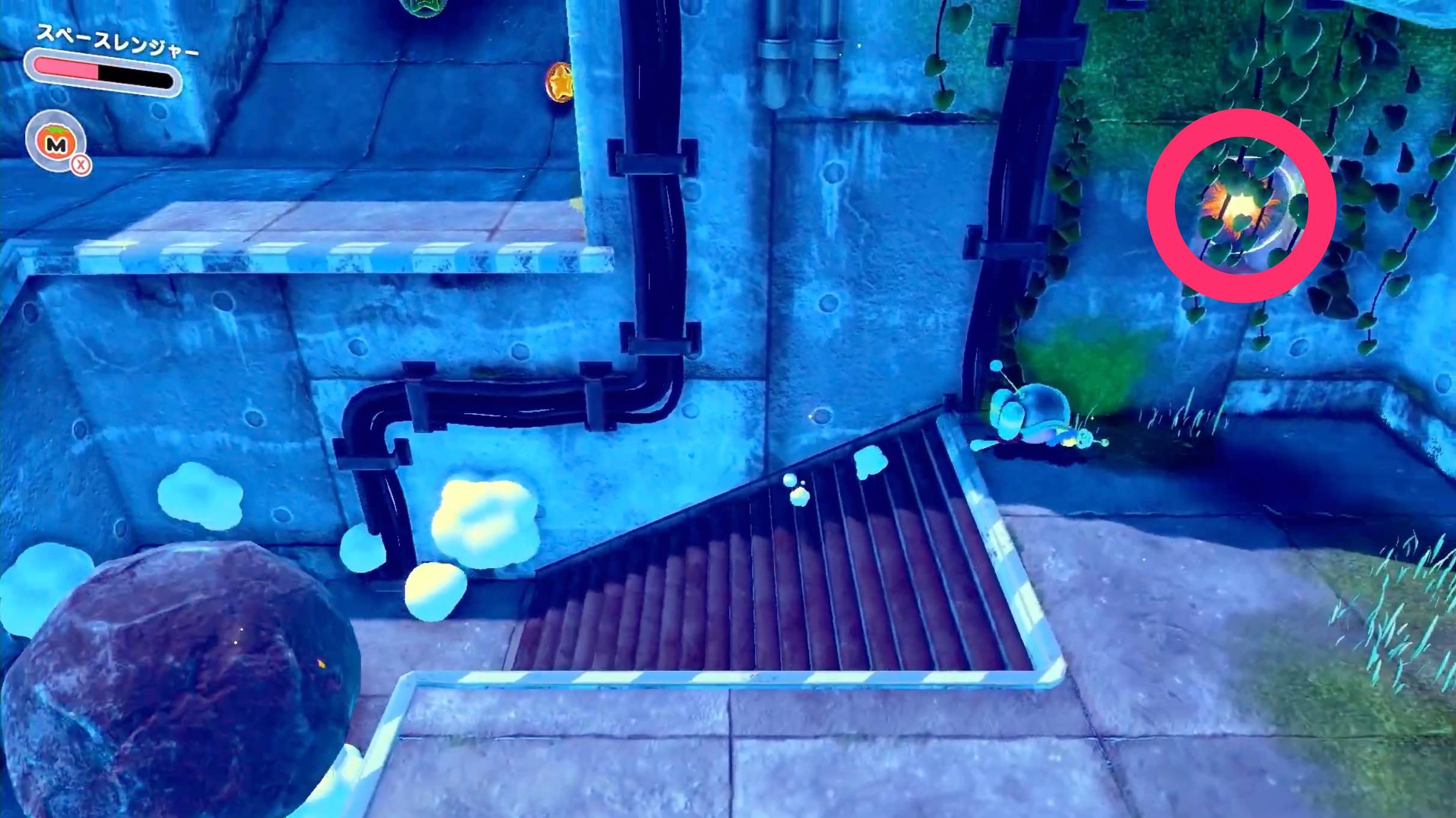 草が垂れ下がってる横穴の中