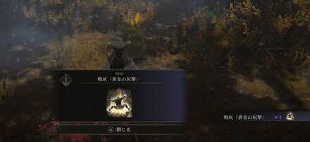 黄金の尻撃の入手画面