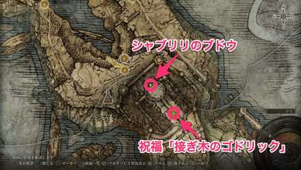 シャブリリのブドウの入手場所