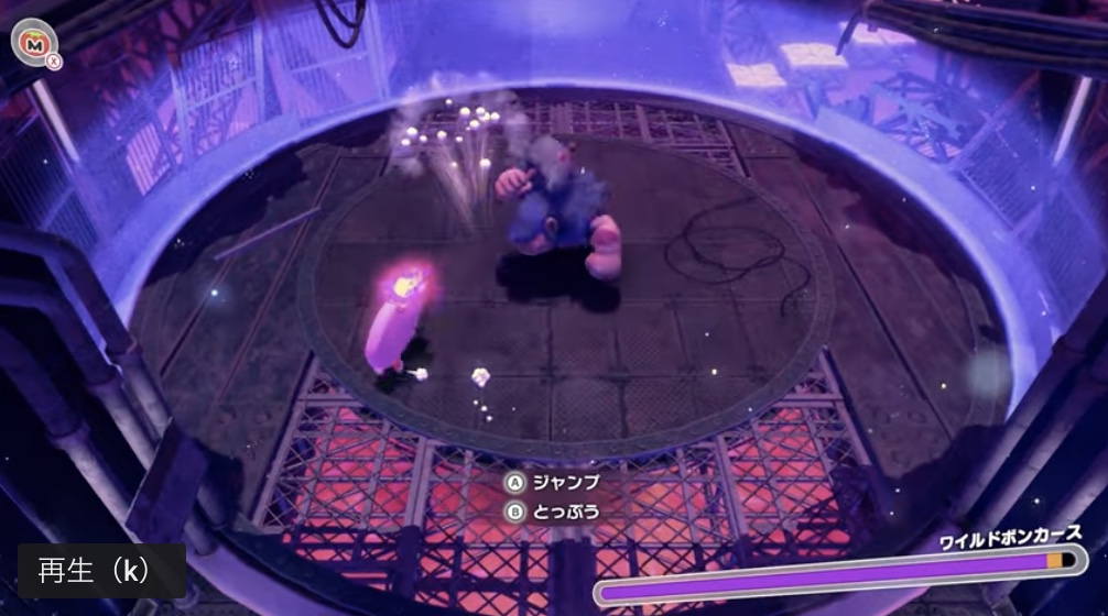 ワイルドボンカース