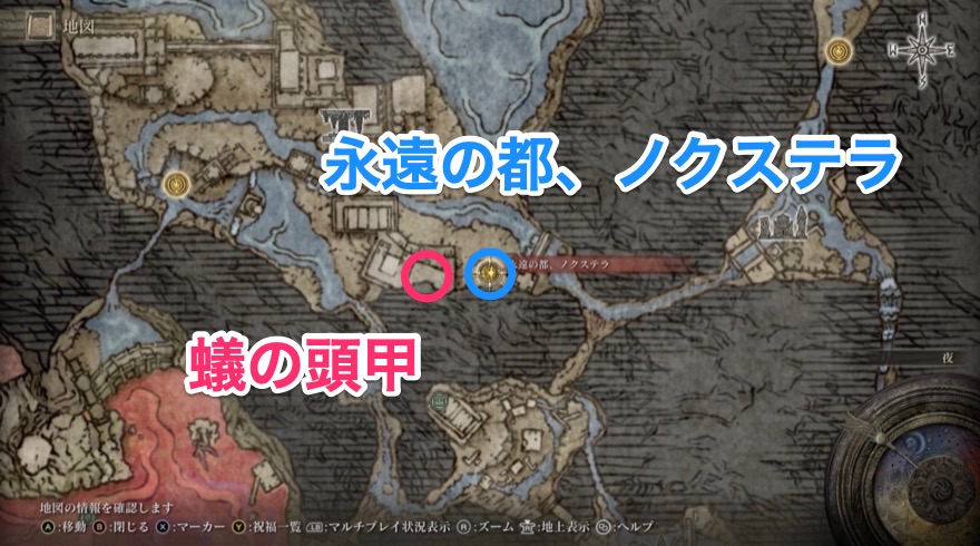 蟻の頭甲の詳細な場所