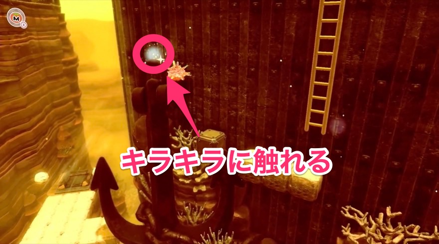 フォルガトゥンネシアのソウル