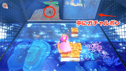 きばこを渡る画像