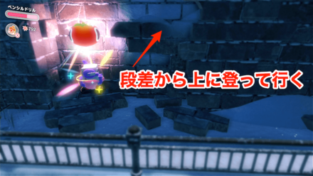 マキシムトマトの画像