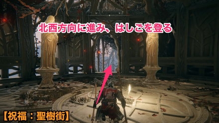 獅子の混種場所②