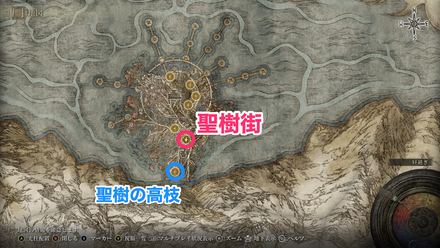 獅子の混種場所①