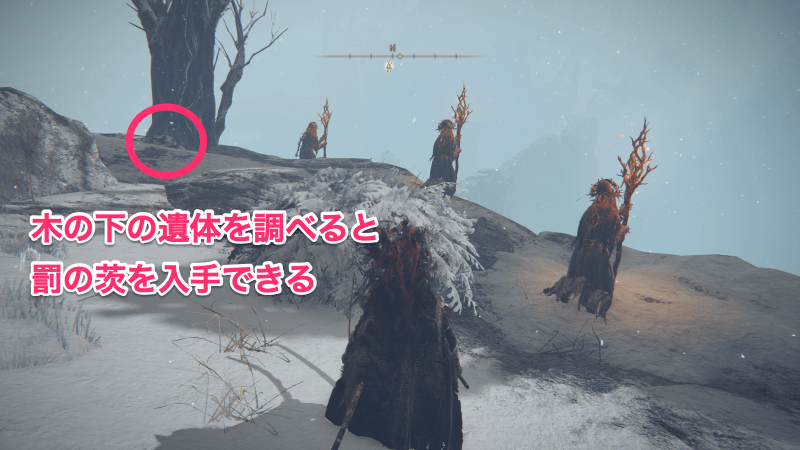 巨人山嶺の地下墓の付近の遺体を調べて入手