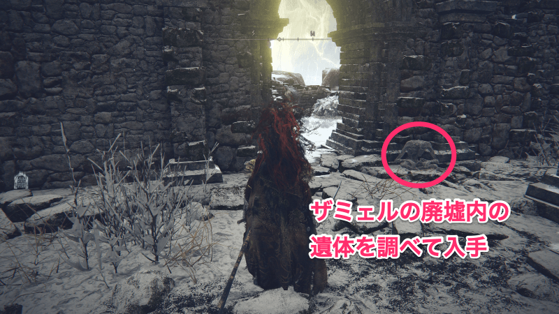 ザミェルの廃墟内の遺体を調べて入手
