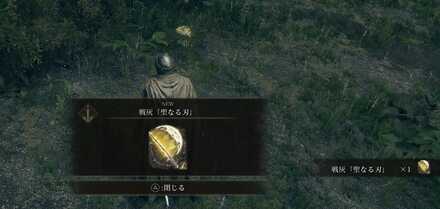 聖なる刃の入手画面