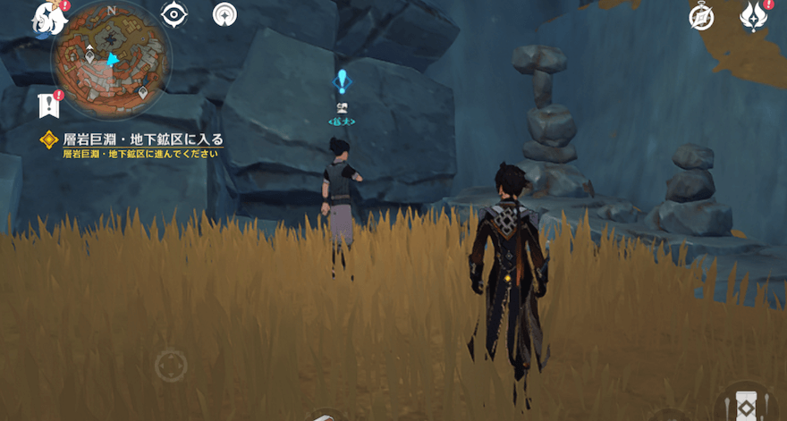 層岩巨淵の中央に居る望に話しかける