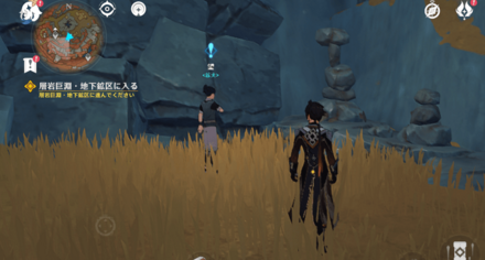 層岩巨淵の中央に居る望に話しかける