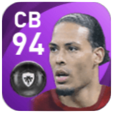 FPフィルヒル・ファン・ダイク(3/31)の画像