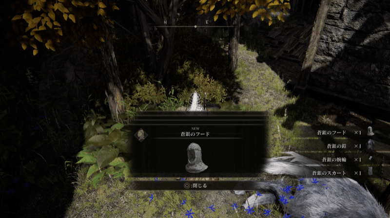 ラティナを撃破して入手