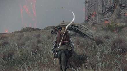 エルデンリングスクリーンショット2022-03-31 17.02-2.jpg