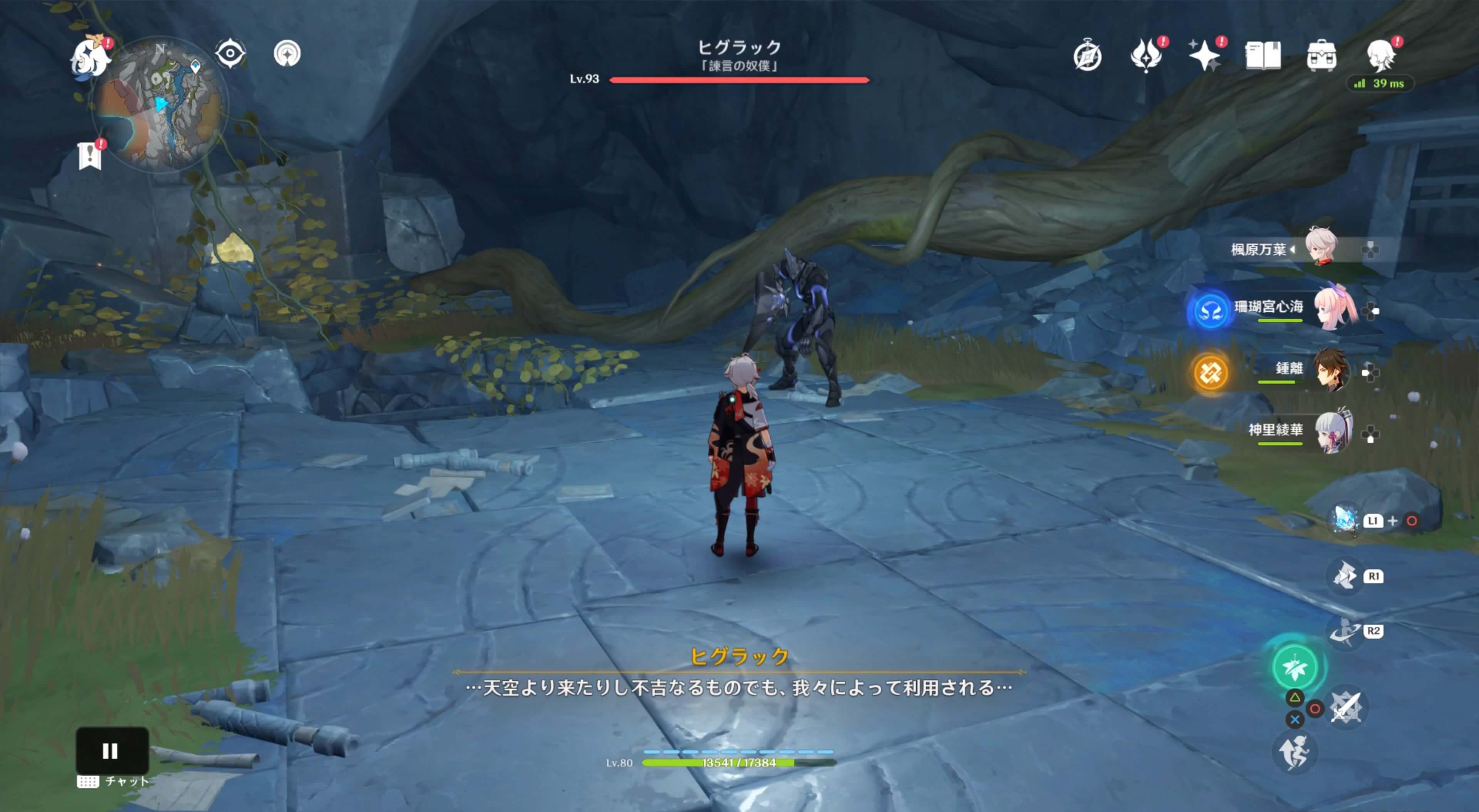 シャドウハスク「ヒグラック」を倒す