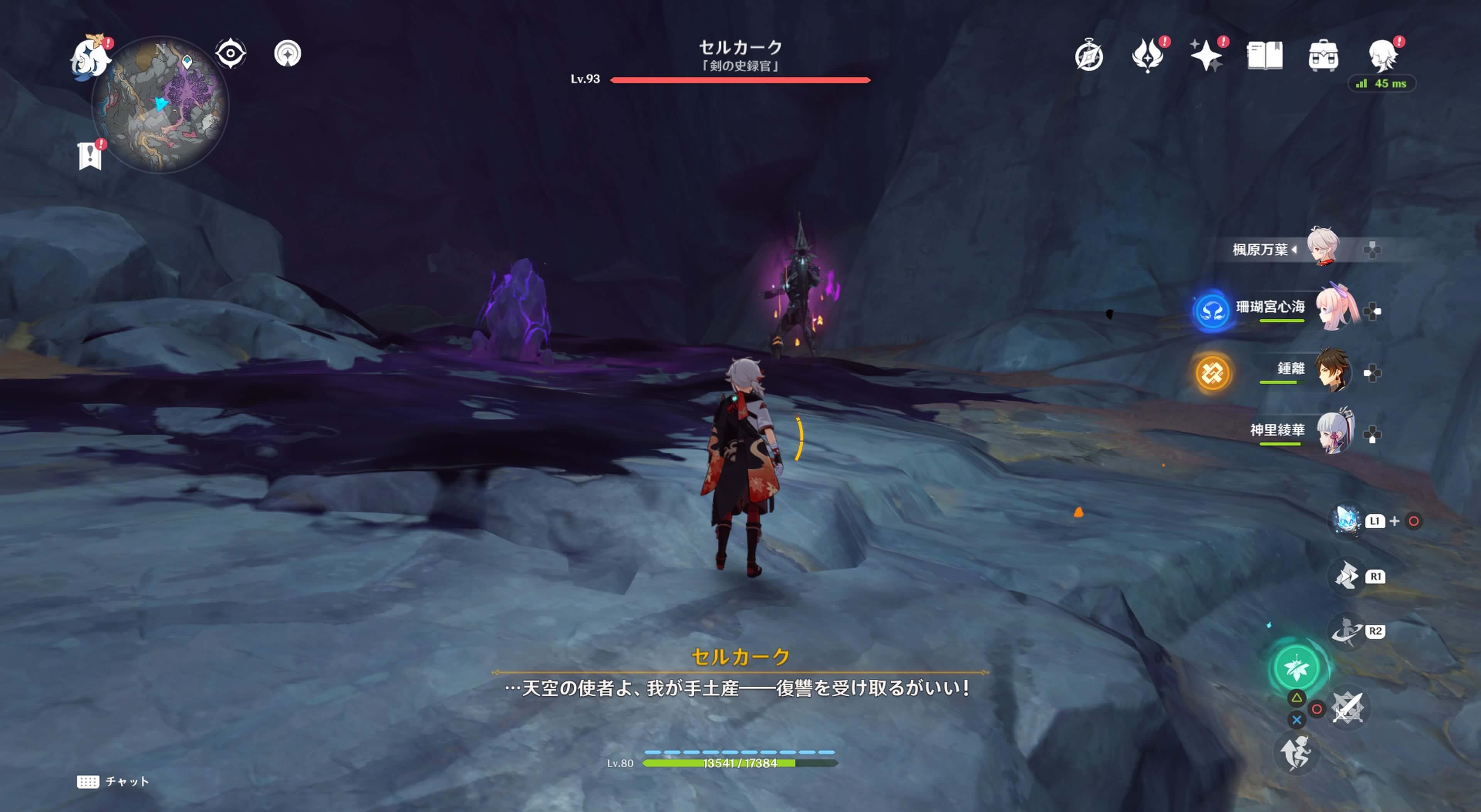 シャドウハスク「セルカーク」を倒す