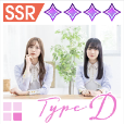 【おしフラコレクション2nd】TypeDの画像