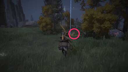 かぼちゃの狂兵