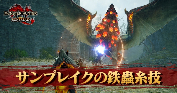 スプラトゥーン3&モンハンライズ カプコン CAPCOM Switchソフト モンスターハンターライズ + サン