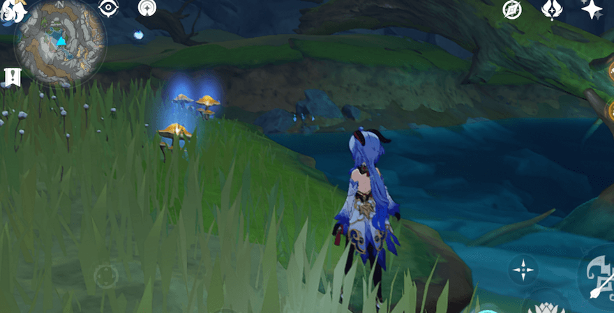 キノコ（星茸）を入手する