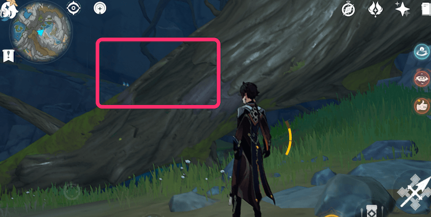 大きな倒れた木裏にある入口から内部に侵入