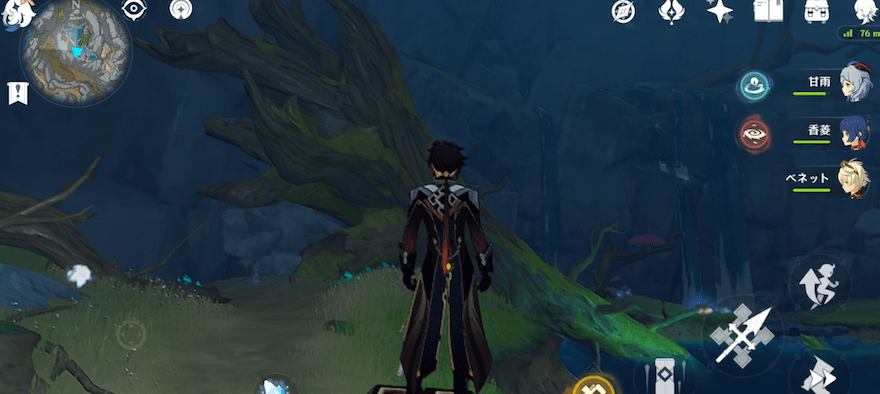 大きな倒れた木へ近づく