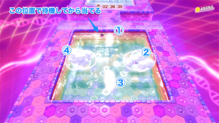 上の水流エリア左側で出現を待っている画像