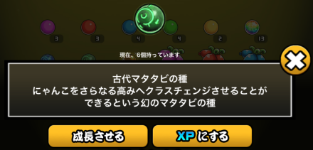 古代マタタビの種成長