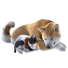 サンブレイク 予約方法と特典まとめ 予約はいつから モンハンライズ ゲームエイト