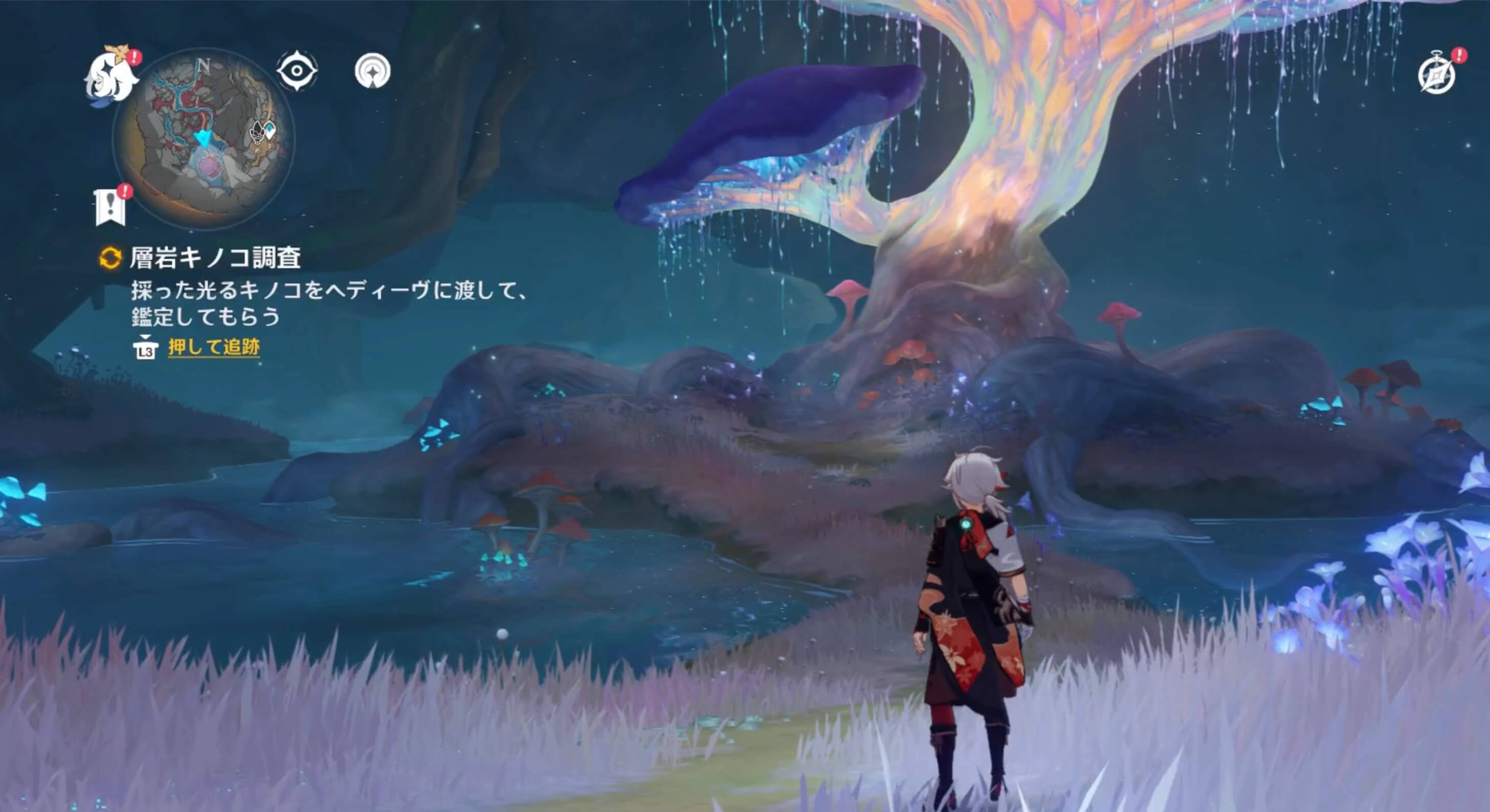 合計8個の星茸を入手