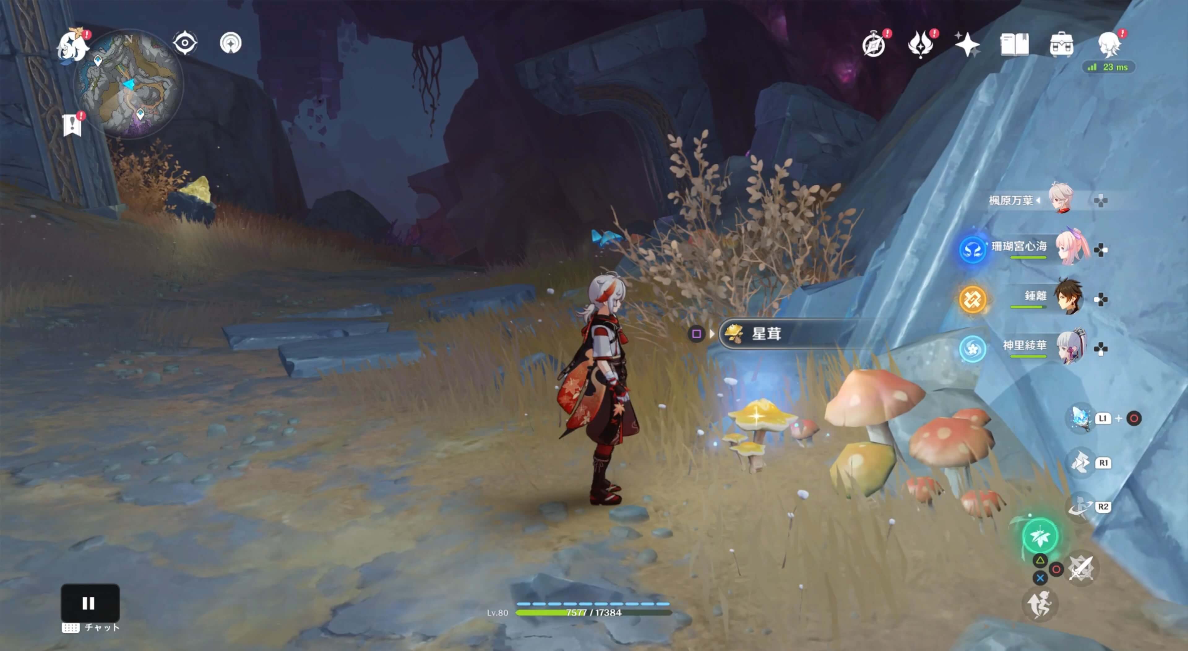 星茸を1つ入手する