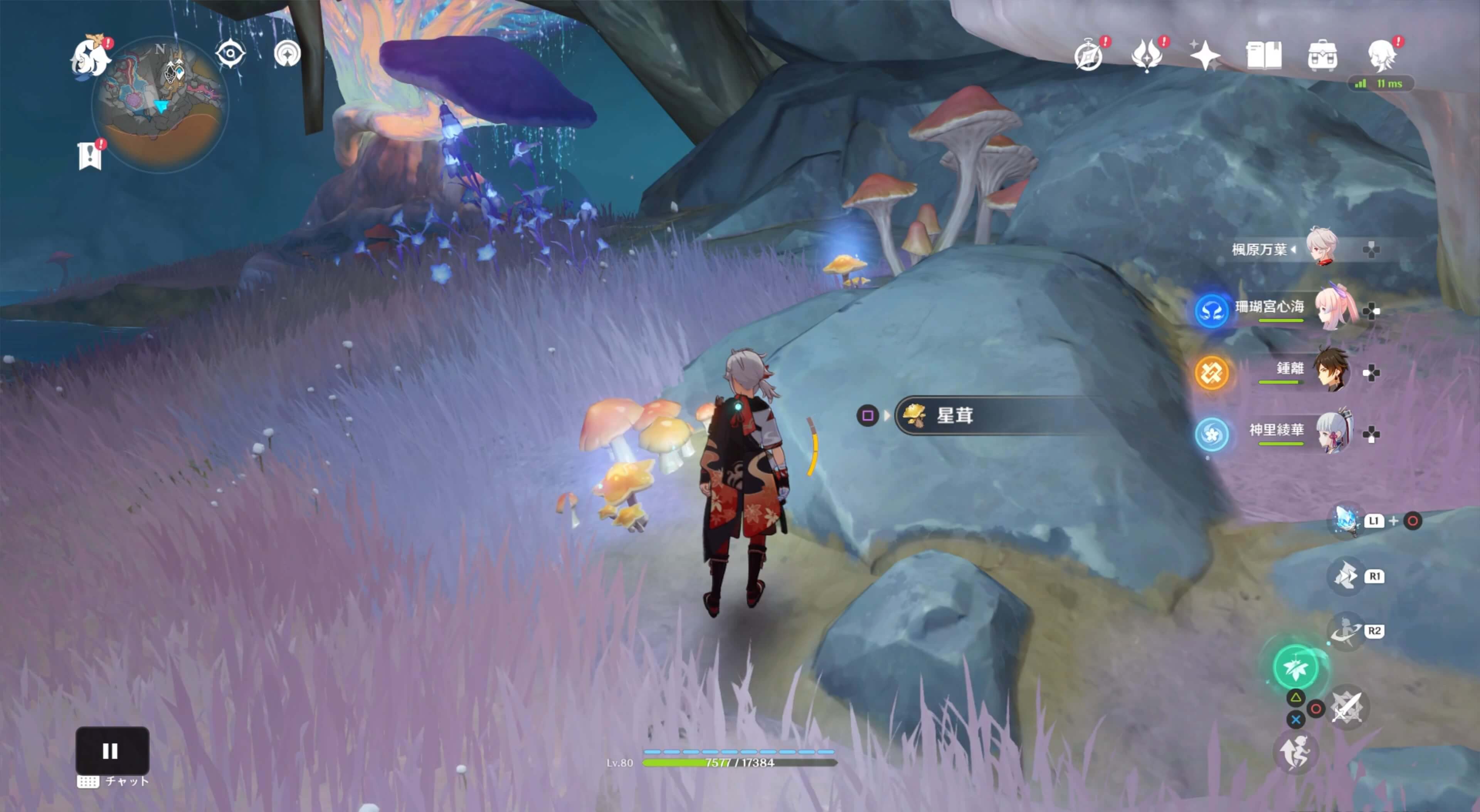 残り7個の星茸を入手する