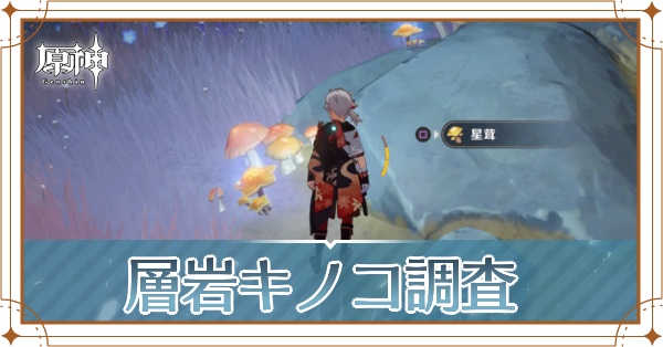 層岩キノコ調査記事上