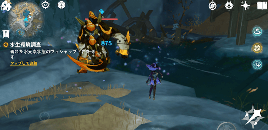 ヴィシャップ・岩と戦闘を行う