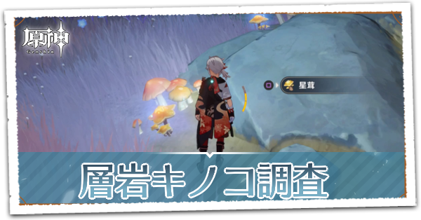 層岩キノコ調査
