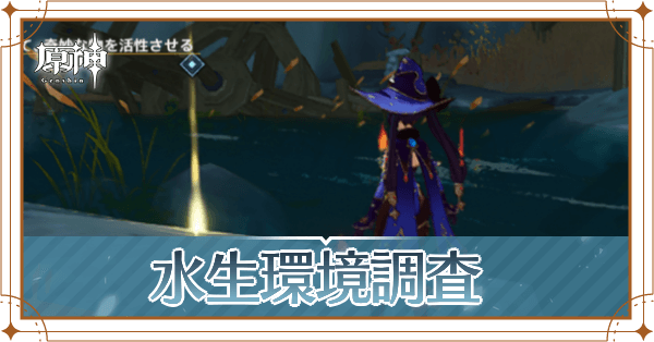 水生環境調査