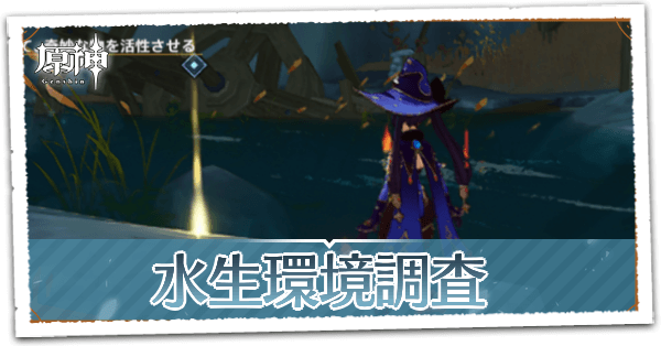 水生環境調査の画像