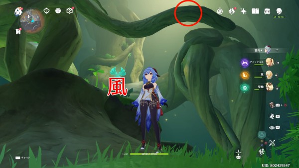 風元素.jpg