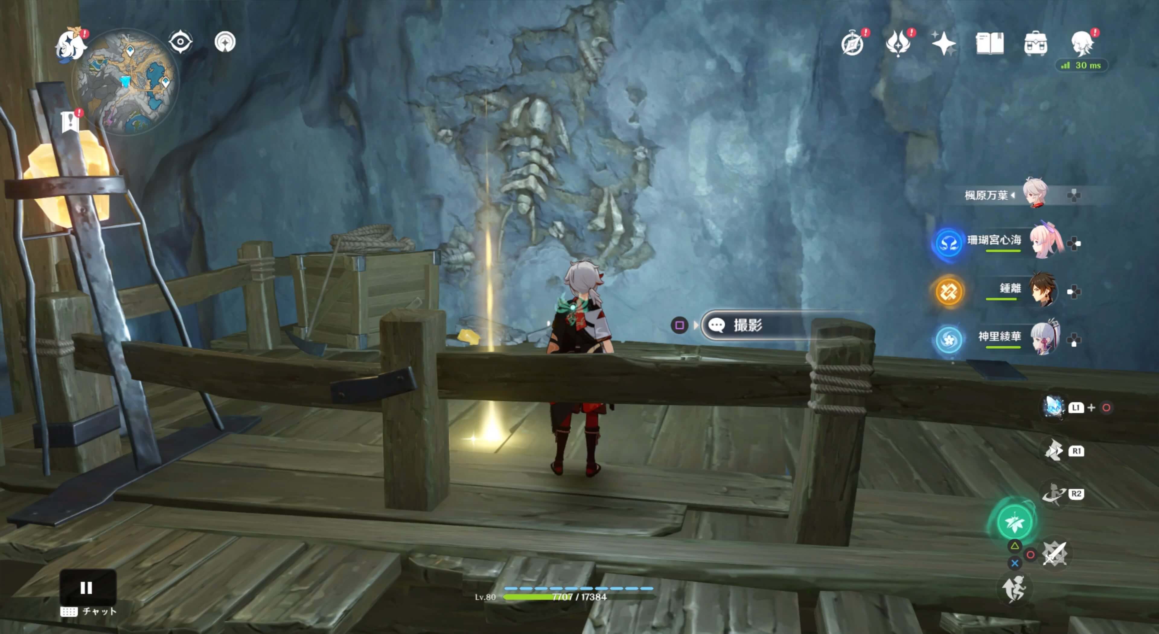 化石の写真を撮る