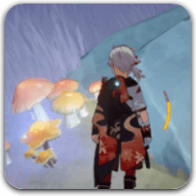 層岩キノコ調査