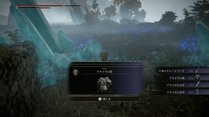 ラニの魔術師塔の前にいるブライヴを撃破して入手