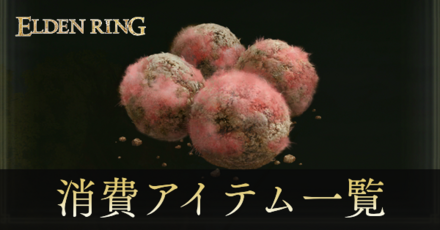 消費アイテム一覧