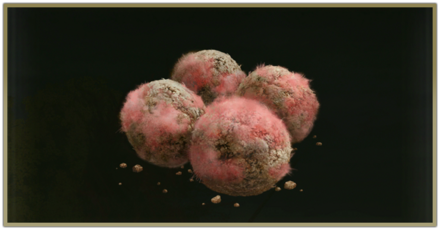 消費アイテム一覧